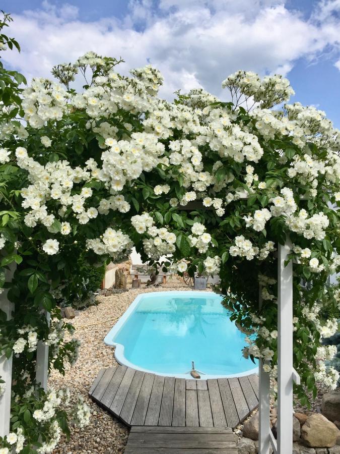 Hotel Haus Am Pool Knautkleeberg Exteriér fotografie