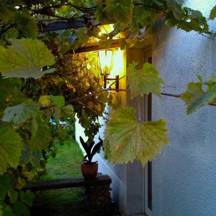 Hotel Haus Am Pool Knautkleeberg Exteriér fotografie